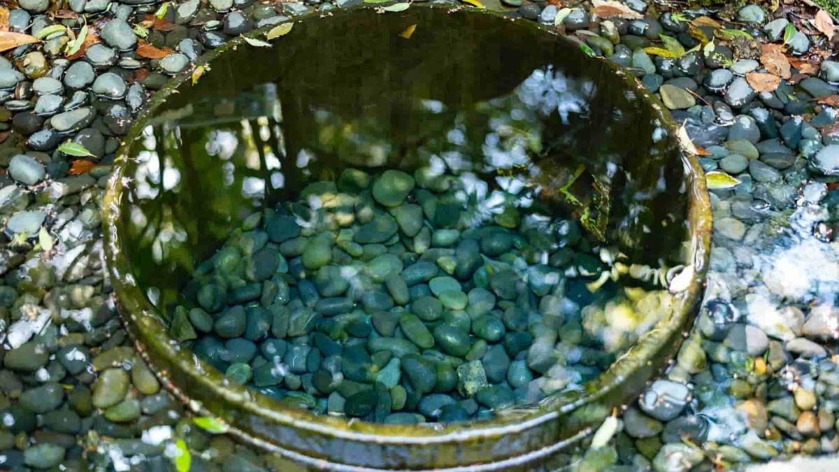 東京都内最強 明治神宮 のパワースポット完全ガイド The Gate 日本の旅行観光マガジン 観光旅行情報掲載