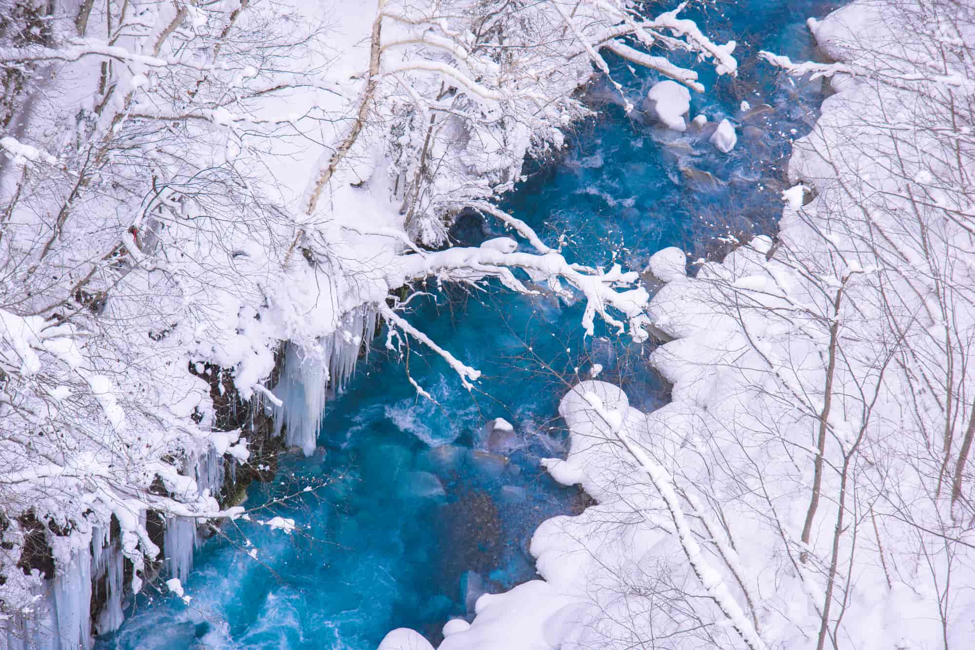 青い池 美瑛ブルーの謎に迫る 絶景の神秘や訪問のタイミングを徹底解説 The Gate 日本の旅行観光マガジン 観光旅行情報掲載