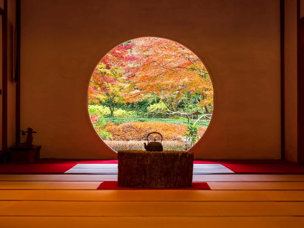 鎌倉の紅葉名所 日帰りで楽しむモデルコースはこれで決まり The Gate 日本の旅行観光マガジン 観光旅行情報掲載 鎌倉の紅葉名所 日帰りで楽しむモデルコースはこれで決まり The Gate 日本の旅行観光マガジン 観光旅行情報掲載