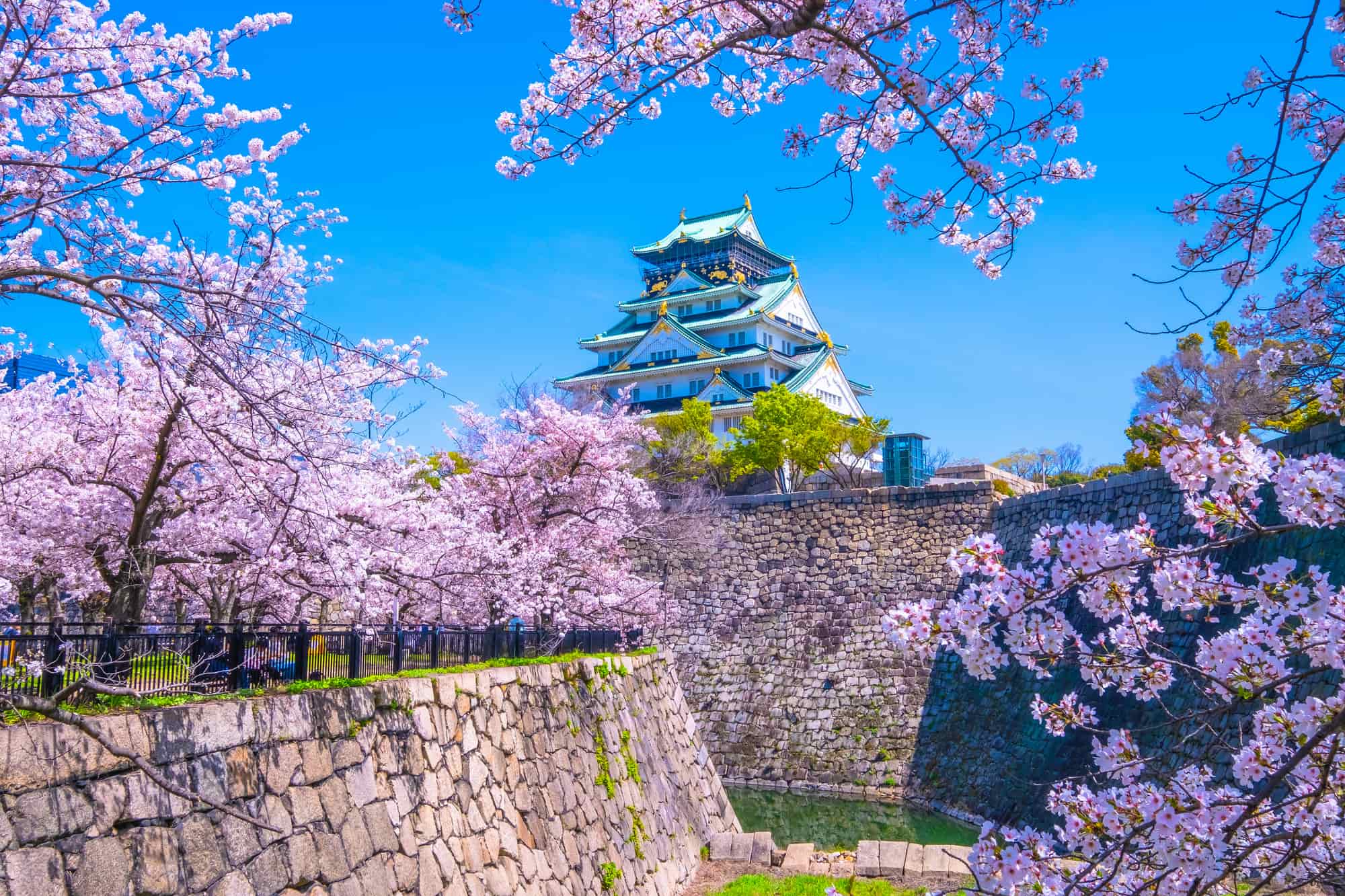 【桜の名所一覧】この春行きたい!日本全国のお花見スポットを大公開|THE GATE|日本の旅行観光マガジン・観光旅行情報掲載