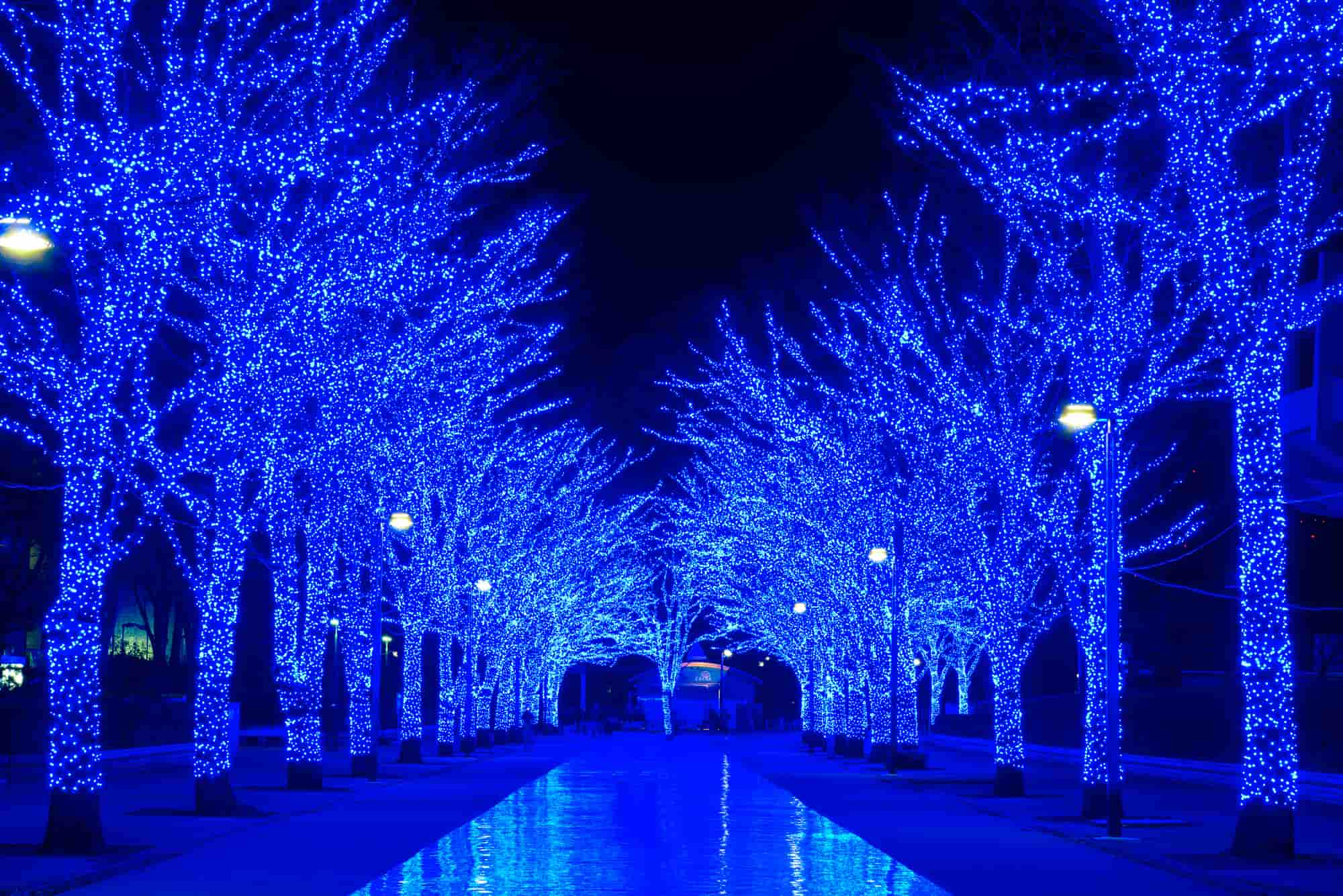 22 23 東京都内の人気イルミネーション15選 冬デートにおすすめ The Gate 日本の旅行観光マガジン 観光旅行情報掲載