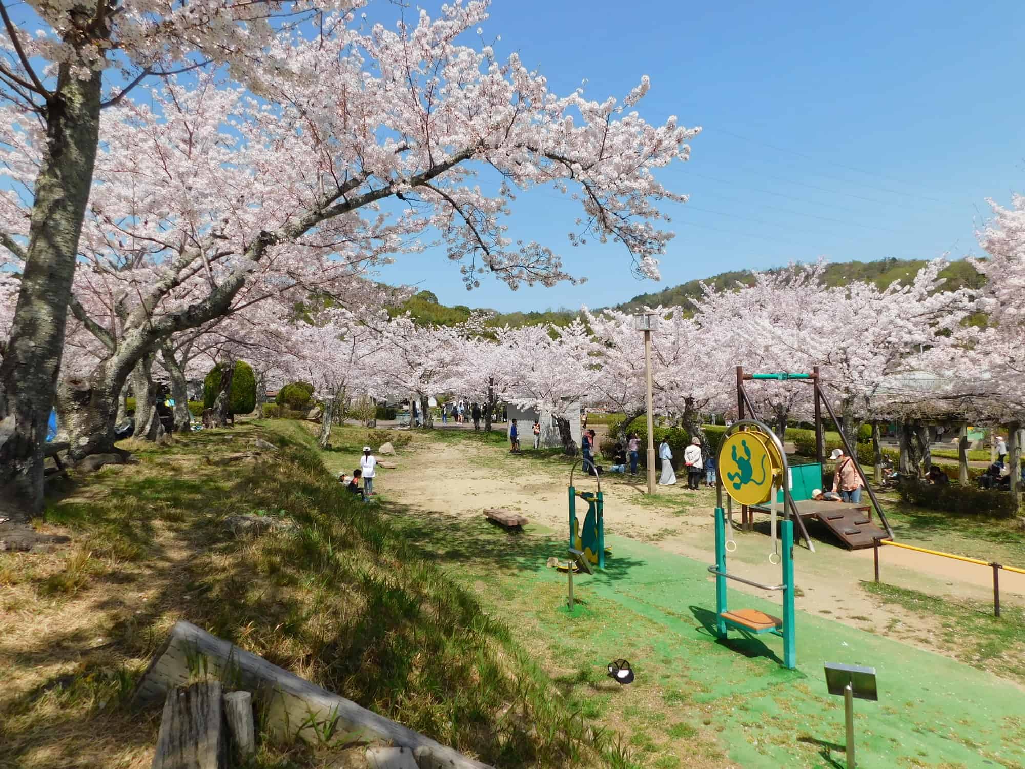 22 大阪府内のお花見スポット15選 今年行きたい桜名所は The Gate 日本の旅行観光マガジン 観光旅行情報掲載