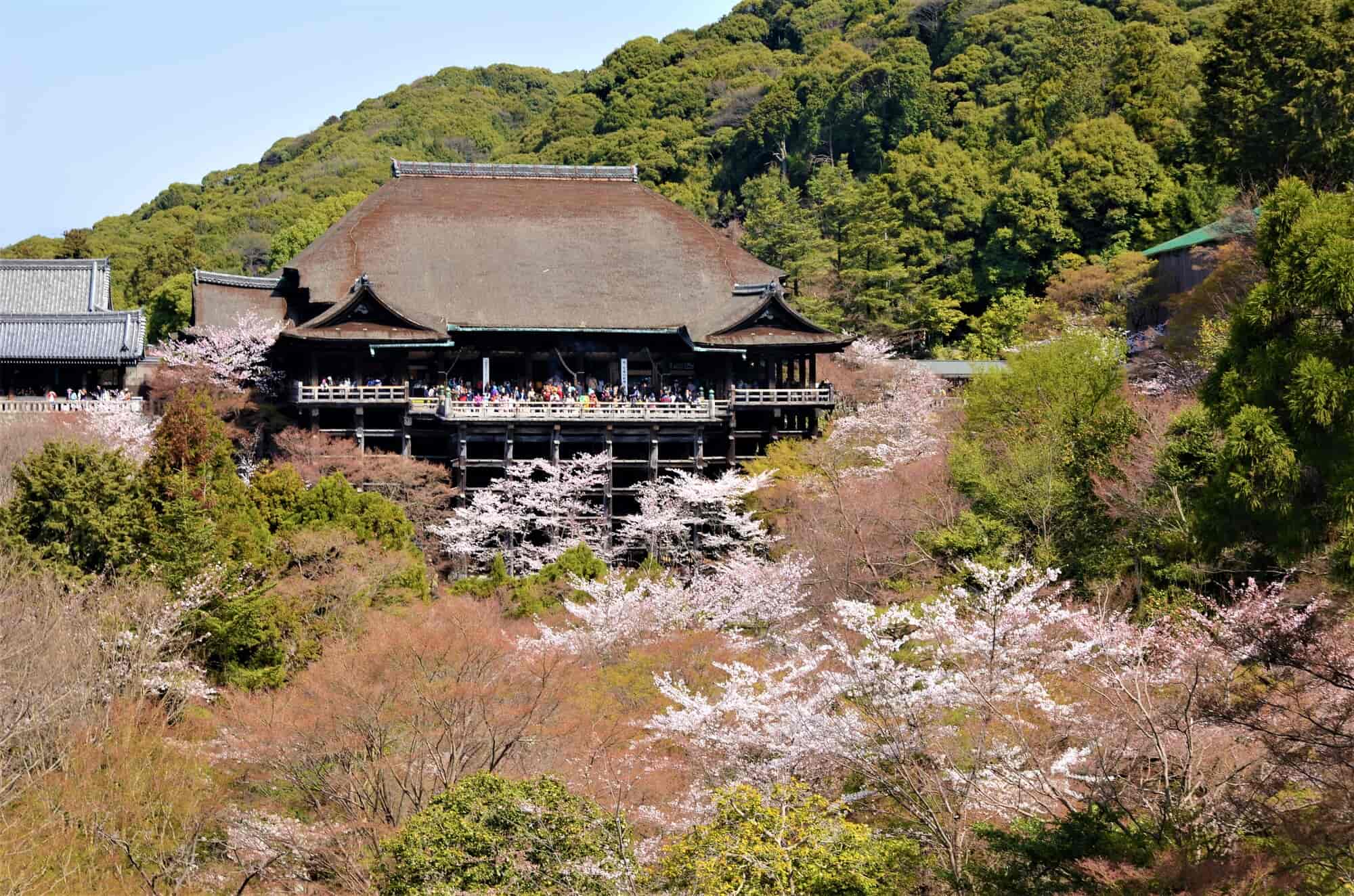 22 京都の桜名所17選 見頃を迎えた桜満開のお花見スポットは The Gate 日本の旅行観光マガジン 観光旅行情報掲載