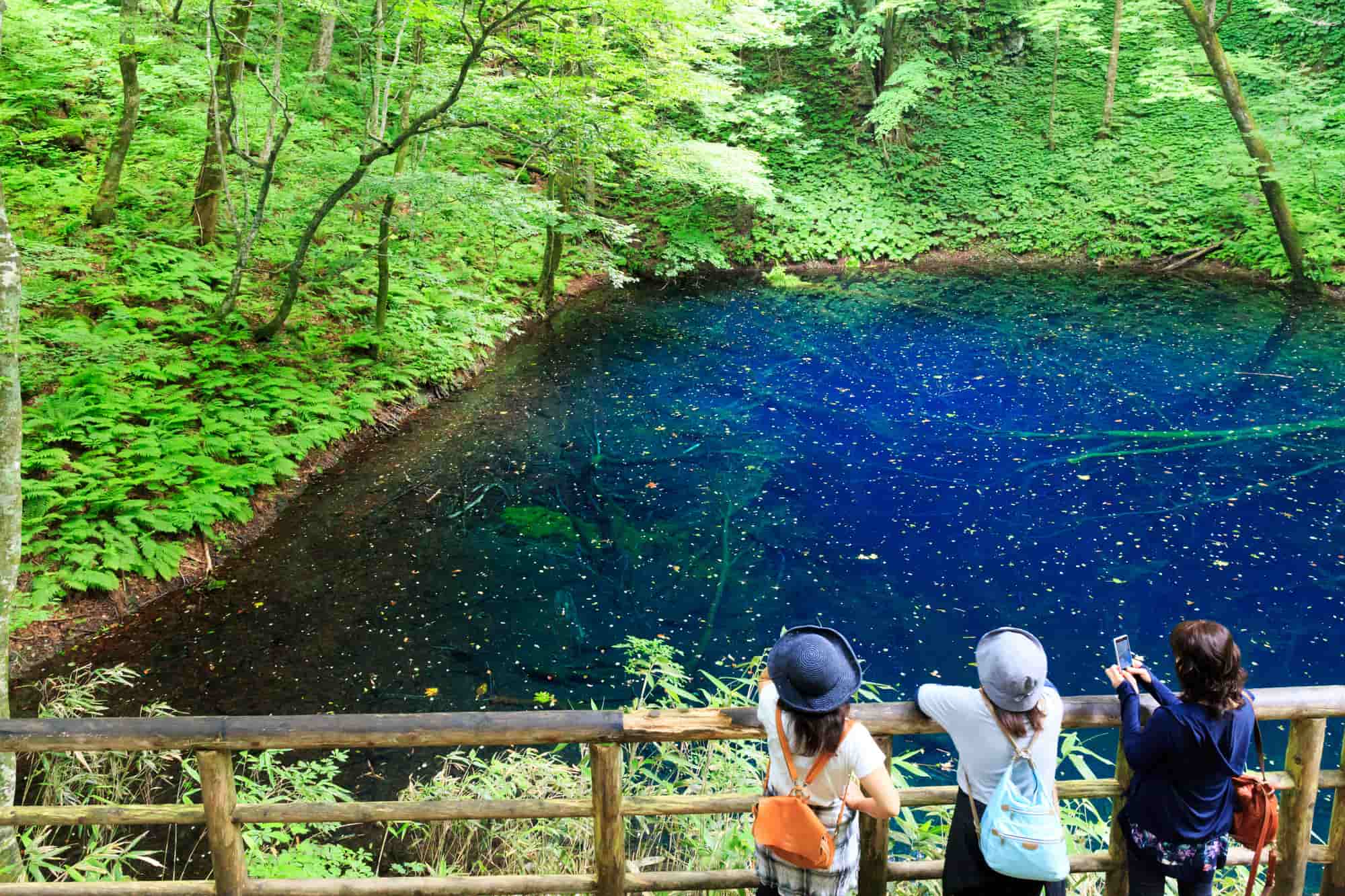 世界自然遺産 日本にしかない絶景 世界遺産に選ばれた大自然を紹介 The Gate 日本の旅行観光マガジン 観光旅行情報掲載