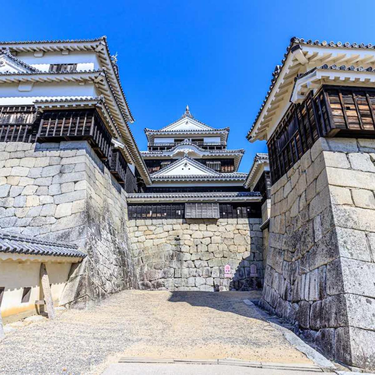 埼玉県東松山市史 資料編 全5冊+東松山市の歴史 上中下巻揃/松山
