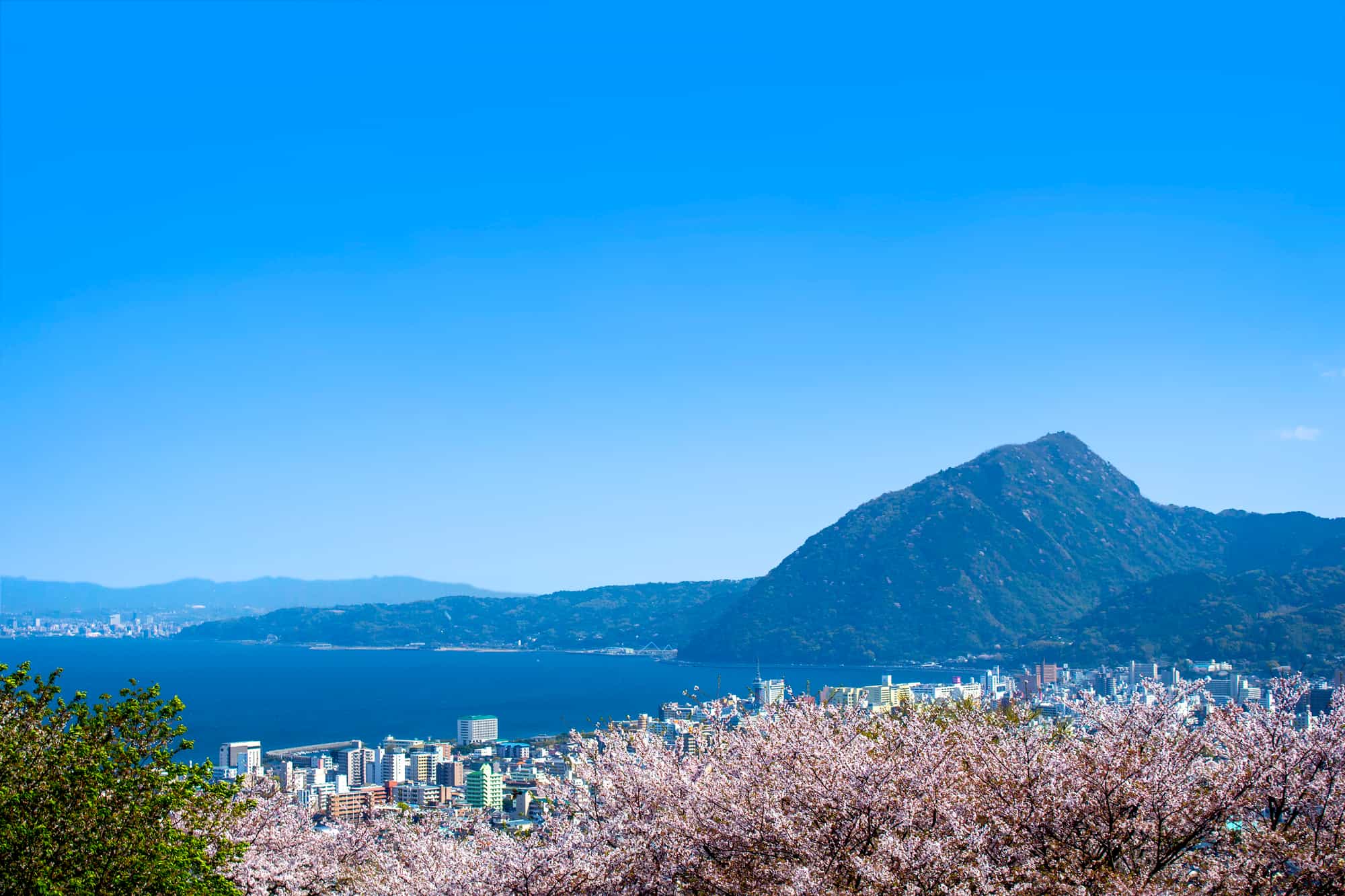 別府温泉 観光スポット10選 日帰りで満喫する癒しの旅へ The Gate 日本の旅行観光マガジン 観光旅行情報掲載