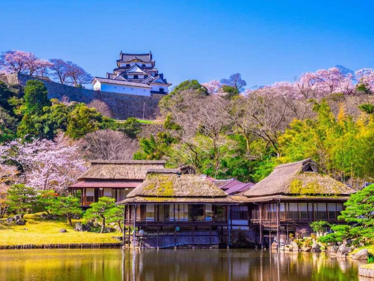 当時のメディア報道・掲載写真