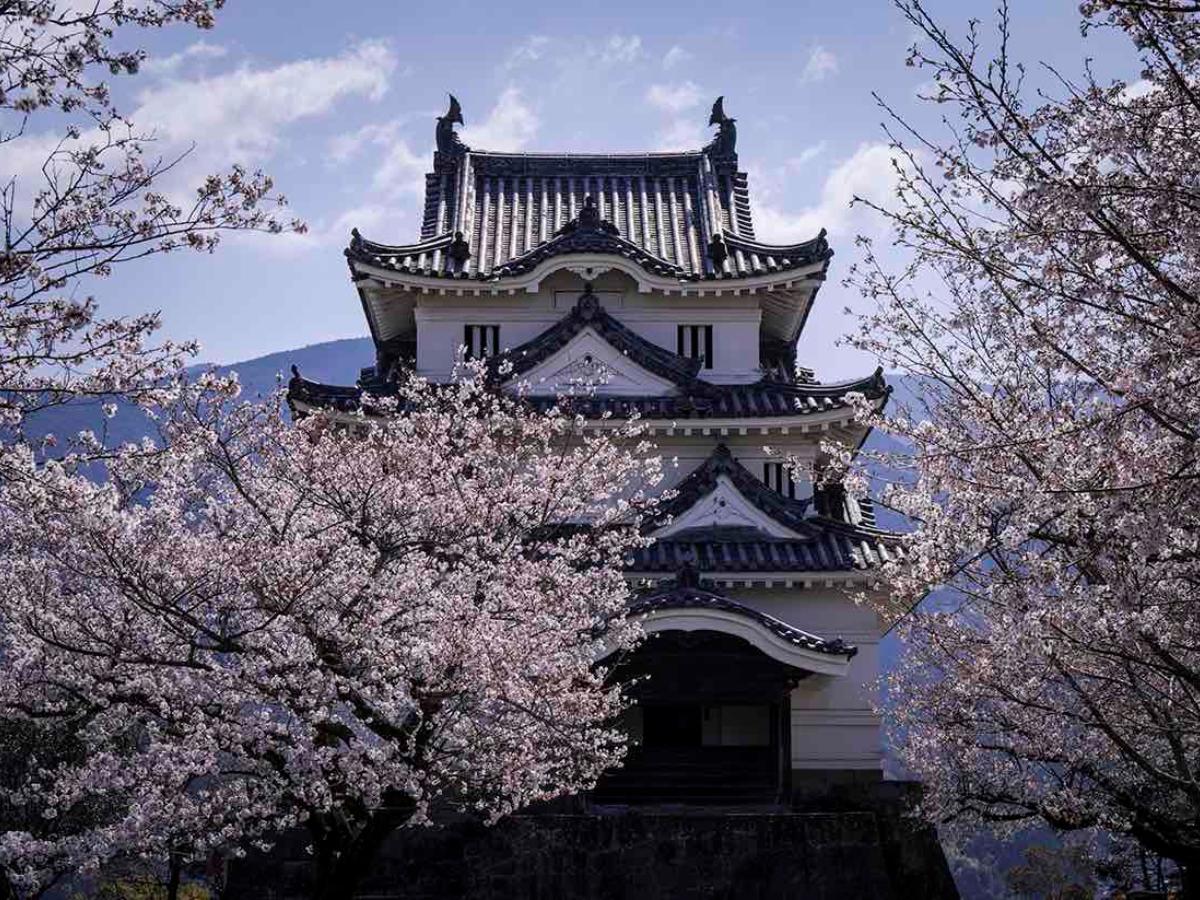 愛媛【宇和島城】の歴史と見どころ－外せないポイントを解説｜THE GATE 