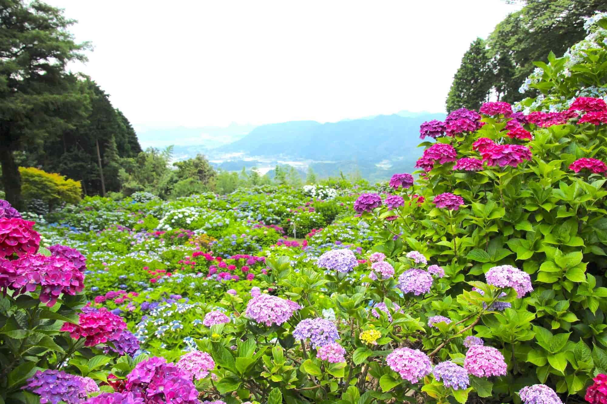 眺望もよく、思わず山下を見下ろしてしまうかも