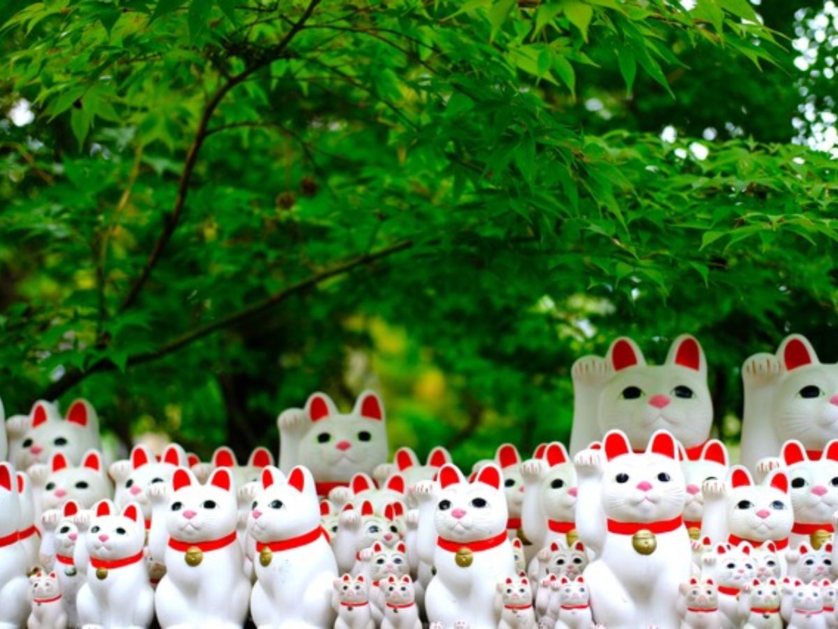Gotokuji Temple: Tokyo's Temple for Cat Lovers｜THE GATE｜Japan