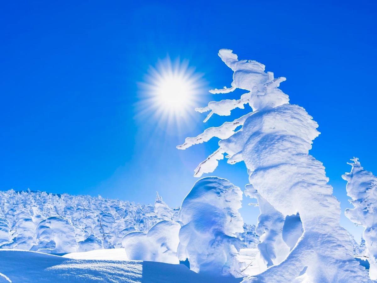 樹氷ができる仕組みと条件】スノーモンスターの成長時期と見頃、見に