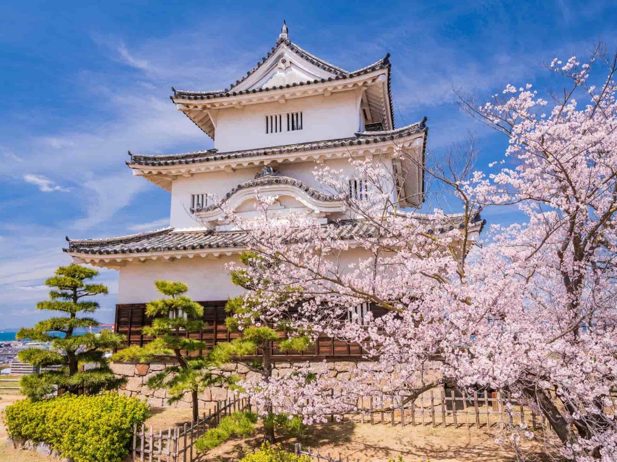 絵図（城郭図） 香川県讃岐國丸亀城（レターパックライト発送