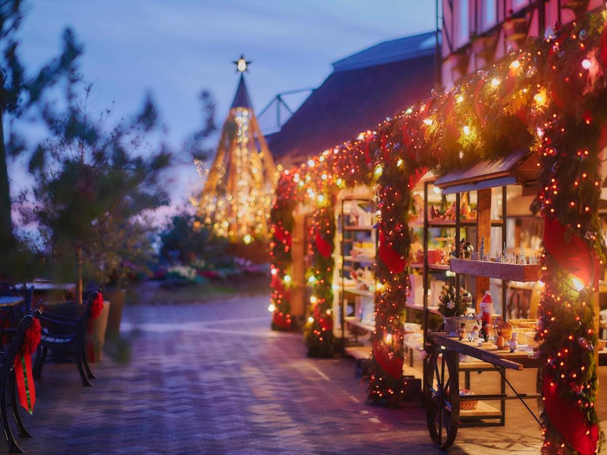 クリスマス☆イルミネーション☆３ 2024-2025］神戸・姫路・三木のイルミネーション＆クリスマス