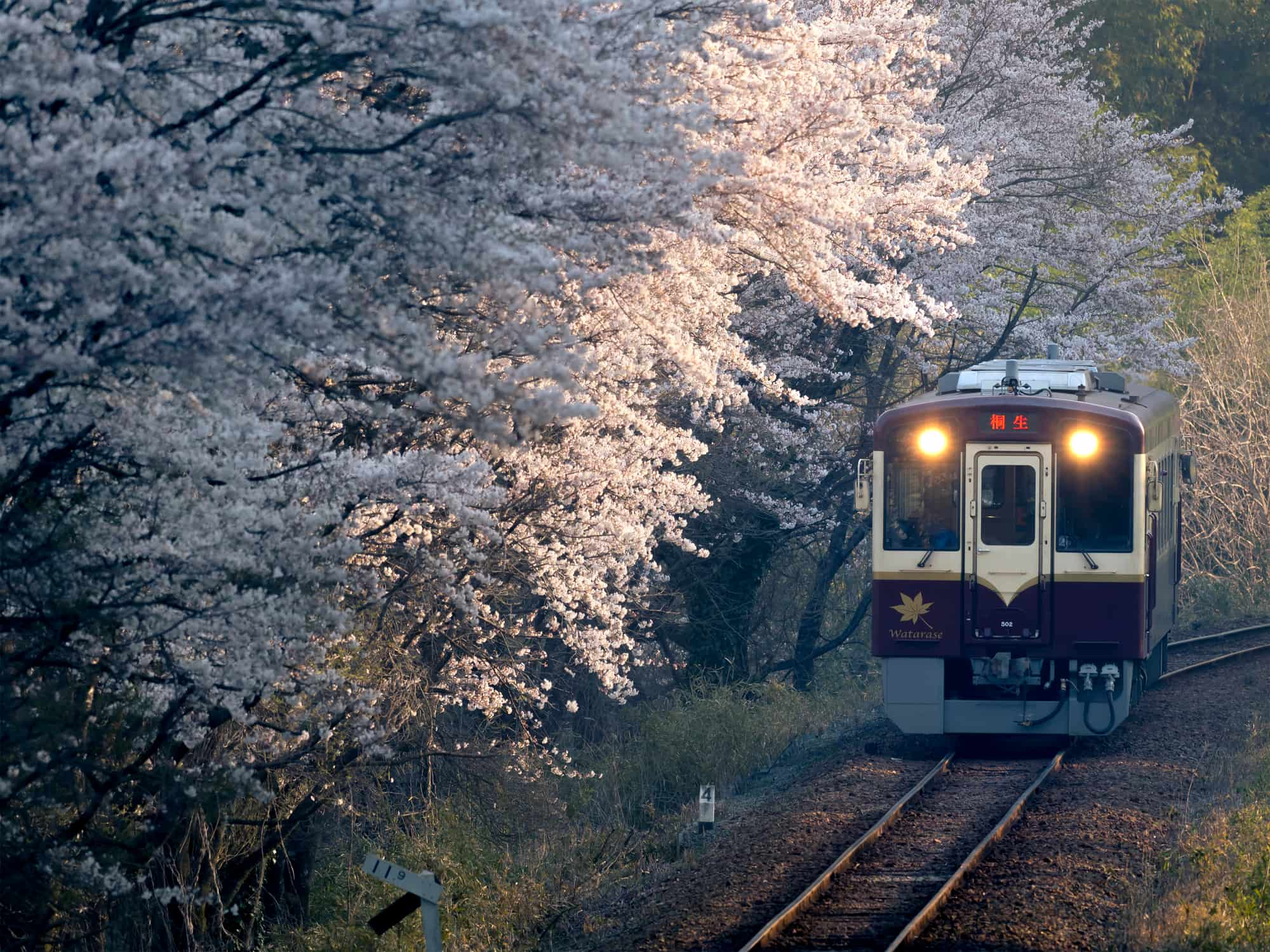 レトロな車体も趣深い