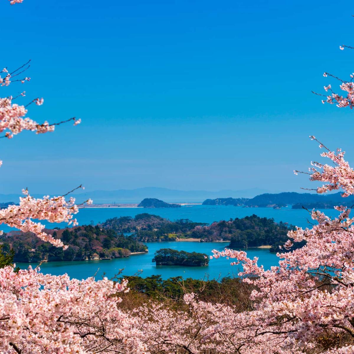 miyagi-famous-beautiful-