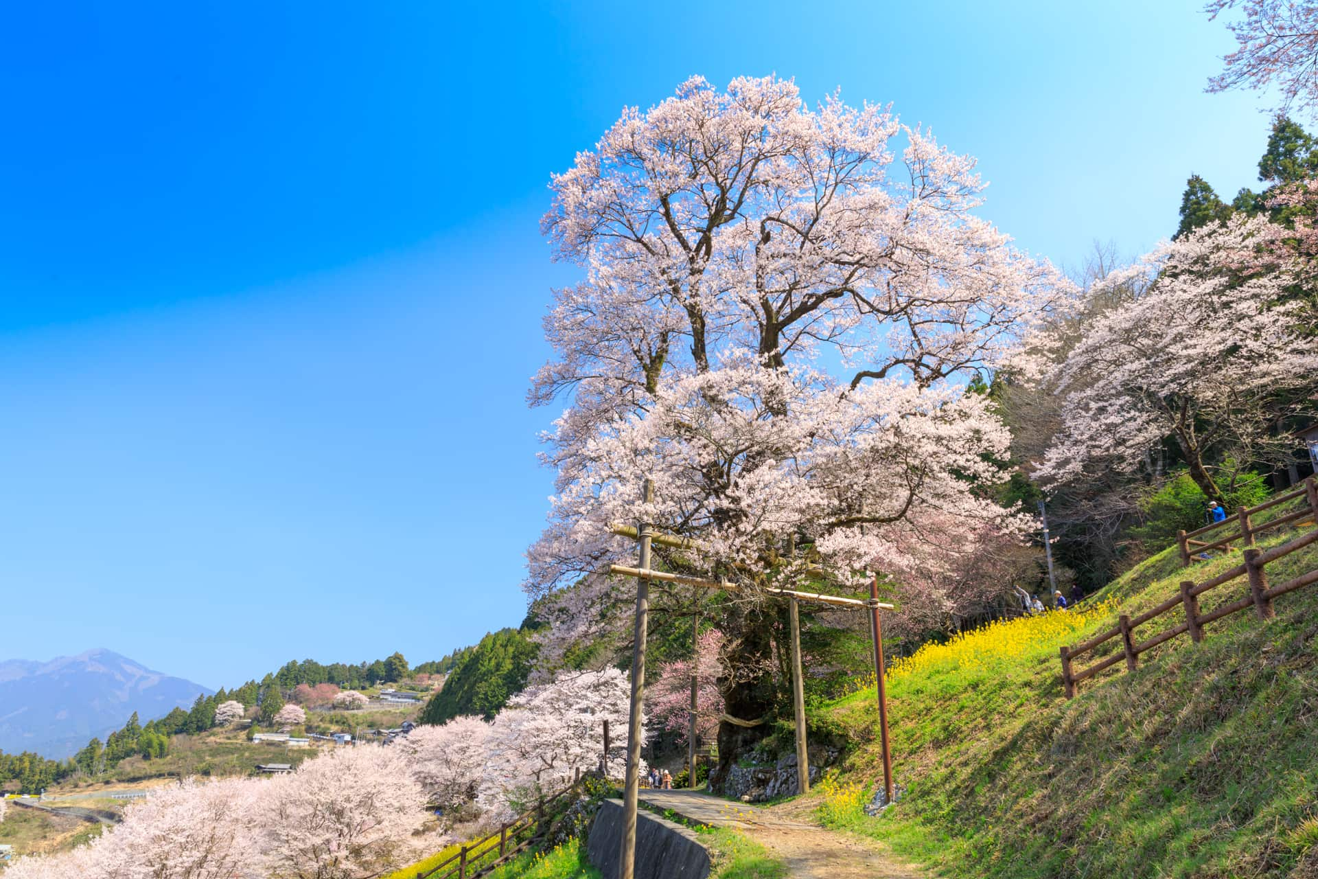 あまりのスケールに圧倒されそう