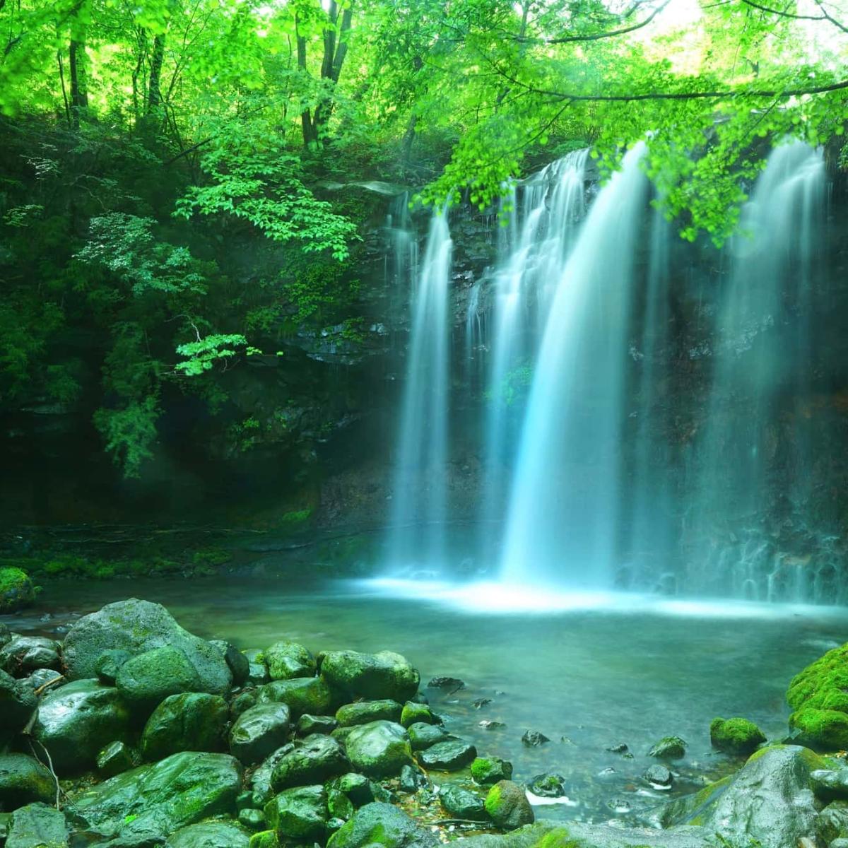 日本の滝1000 和みの滝 Amazon.co.jp: 日本の滝1000 (和みの滝) : 竹内 敏信, 日本滝
