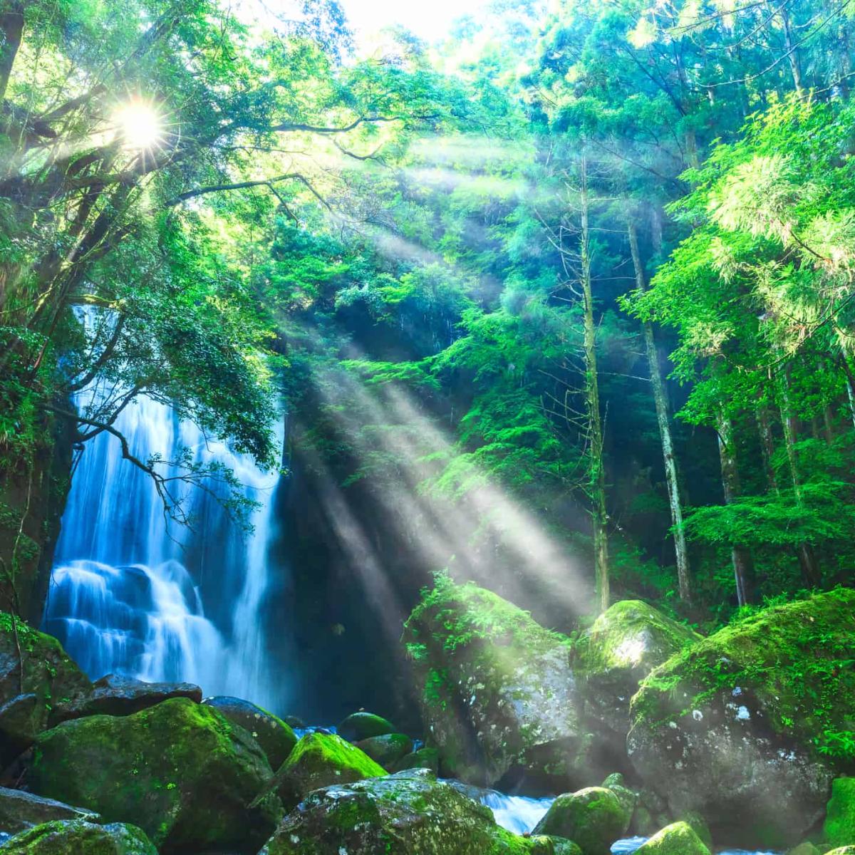 【真作】掛軸　滝のある山水画　静寂な自然の情景　渓流と滝　合箱入　Q193 絵画 イラスト 滝 崖 山 自然 森 川 渓流 風景のイラスト素材