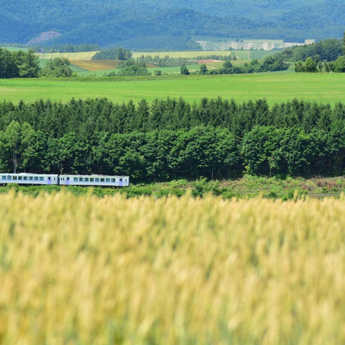 JR-Furano-Line_1200x1200.jpg