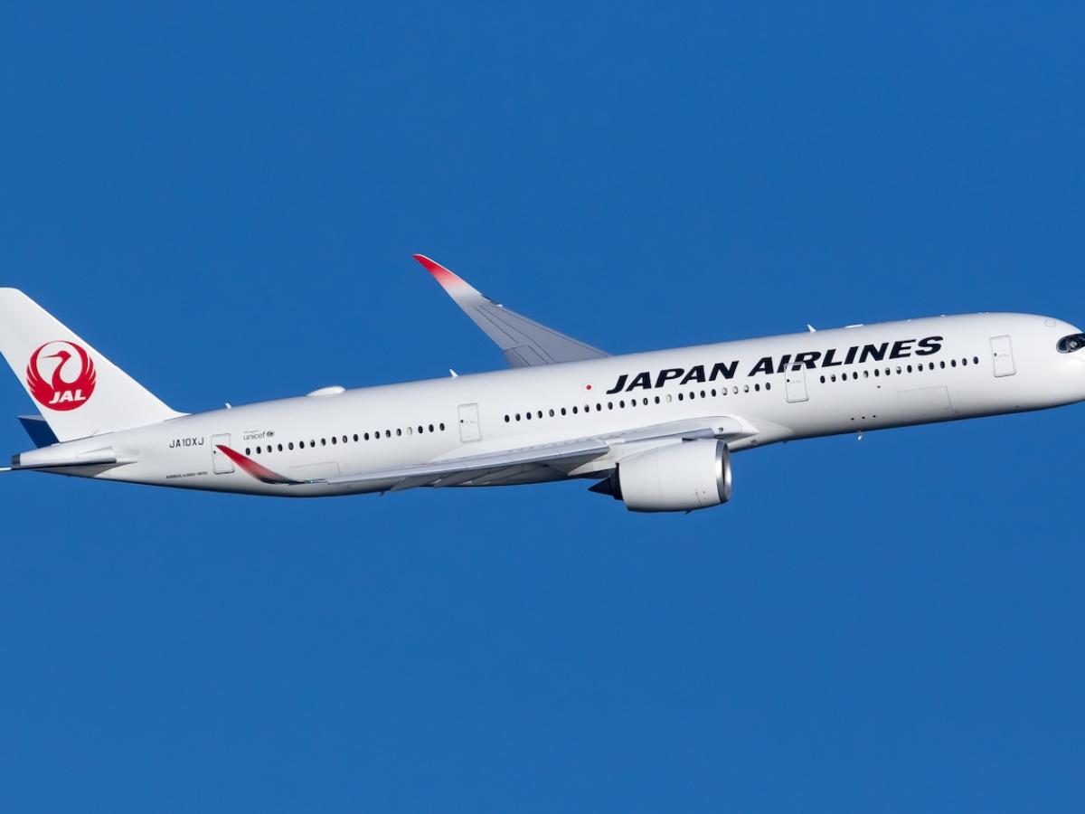 日本 で 一 番 大きい 飛行機