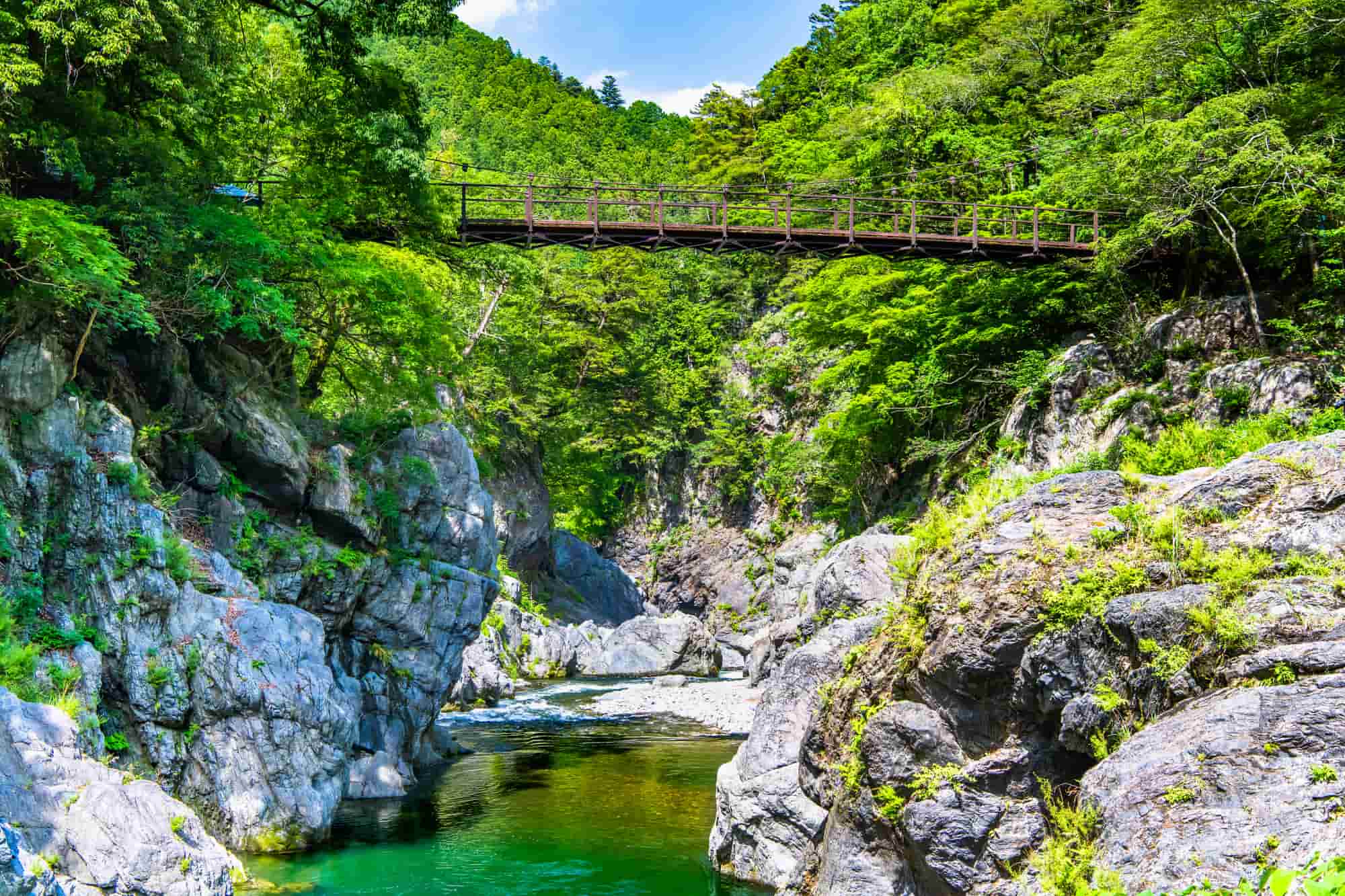 夏の鳩ノ巣渓谷