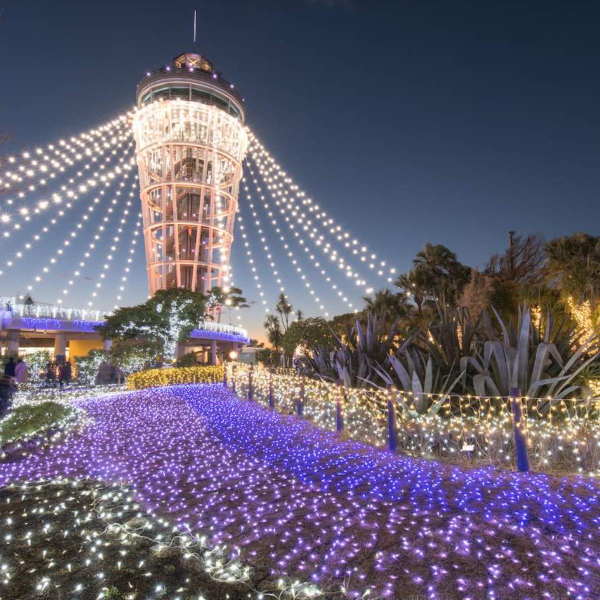 2025-2026】冬のデートは関東三大イルミネーションで決まり！｜THE