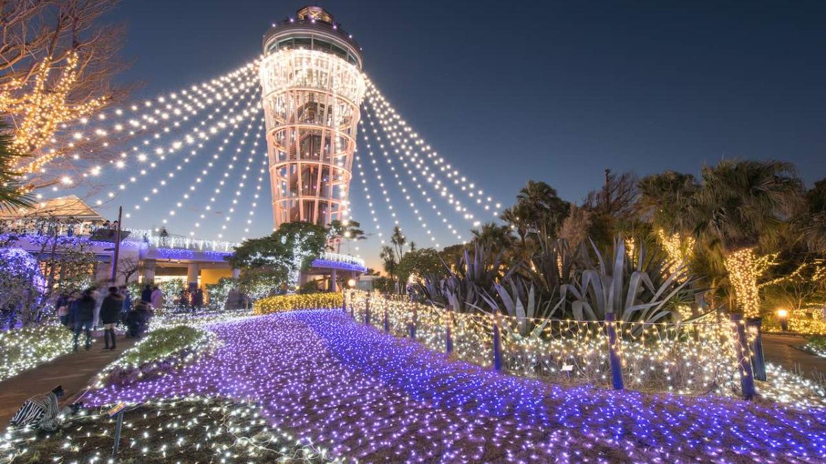 ☆大注目☆  クリスマス  イルミネーション Qtnet presents 光のフォレスト」まわって楽しいイルミネーションの森