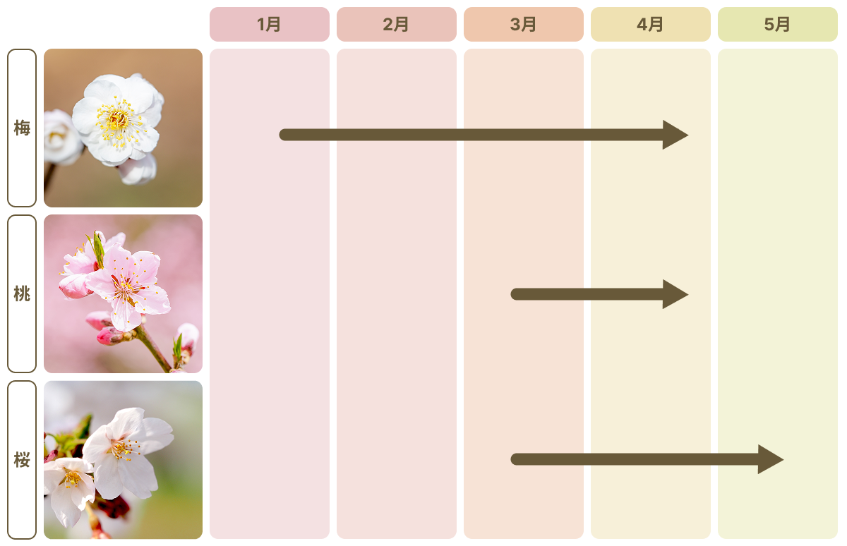 梅・桃・桜の開花時期