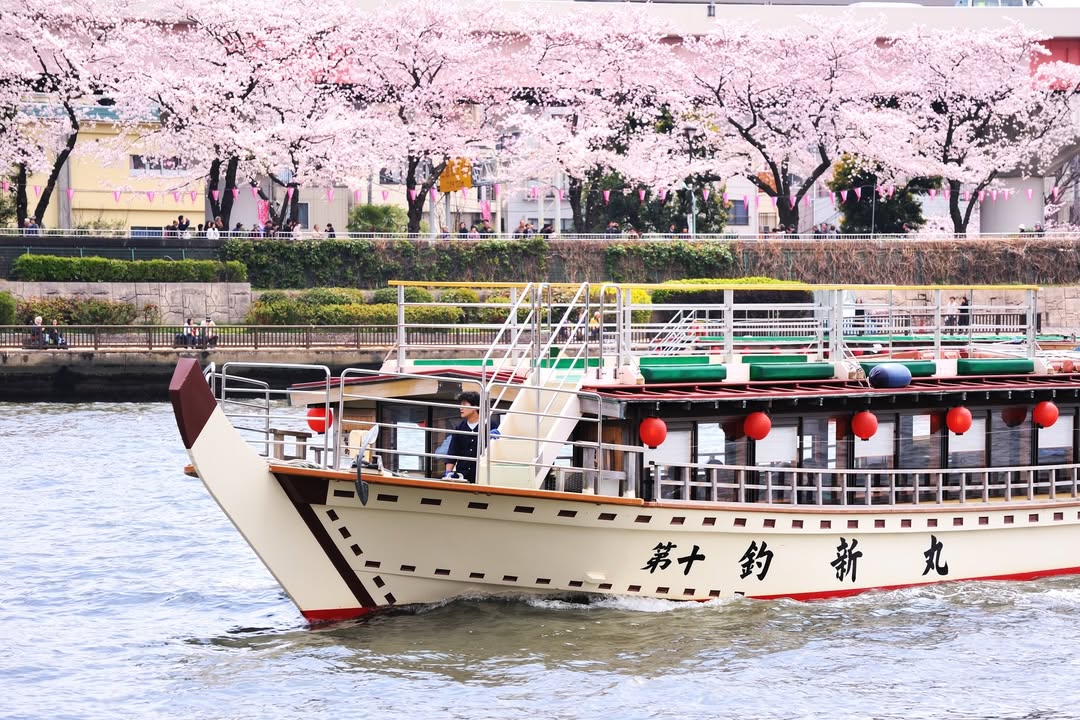 お花見シーズンの船宿 釣新