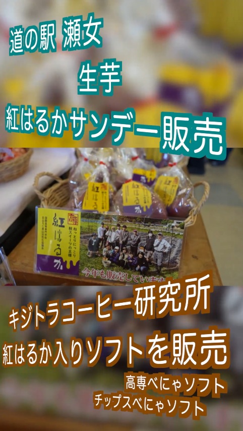 今年もやります！紅はるか祭り】 | 国際高等専門学校