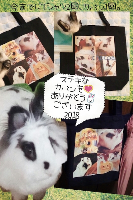 10代・女性・ちょこぁ世界一(*´ー)/さんのオリジナルプリント作成事例丨オリジナルTシャツTMIX