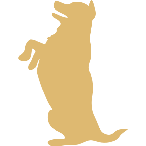 動物・生き物ST-479