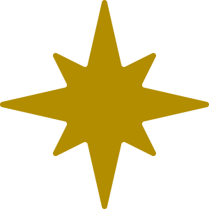 星・キラキラST-1894