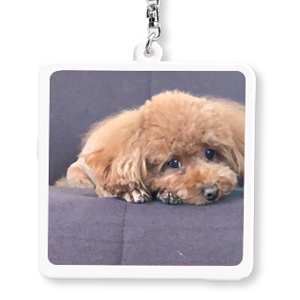 100×100(mm) ホワイトアクリルキーホルダー