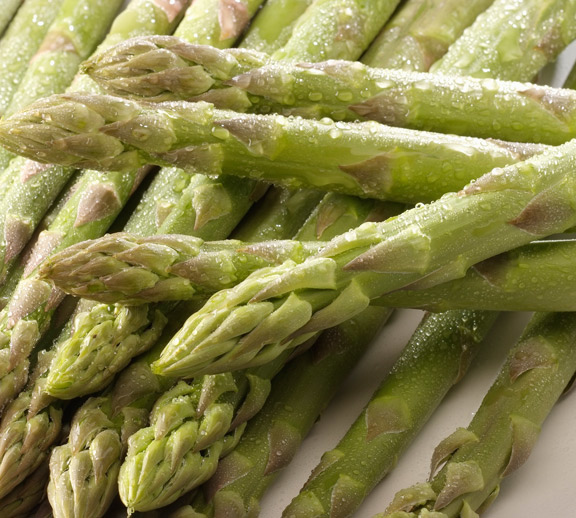 グリーンアスパラガス ハウス栽培 とみたメロンハウス