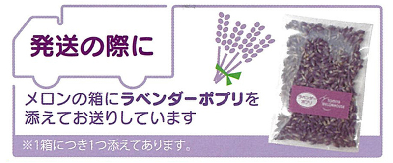 赤肉メロン1玉詰1.6kg | とみたメロンハウス