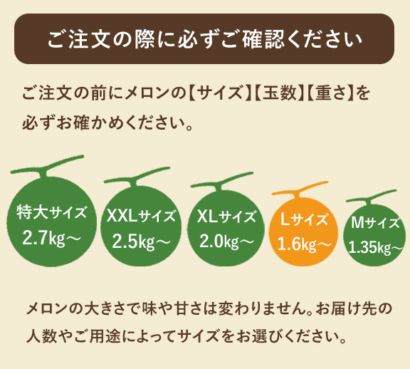 赤肉メロン2玉詰3.2kg | とみたメロンハウス