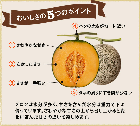 青肉メロン3玉詰6kg | とみたメロンハウス