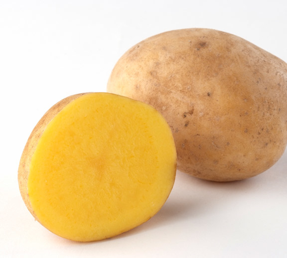 インカのめざめ インカのめざめ10kg(送料込) | とみたメロンハウス