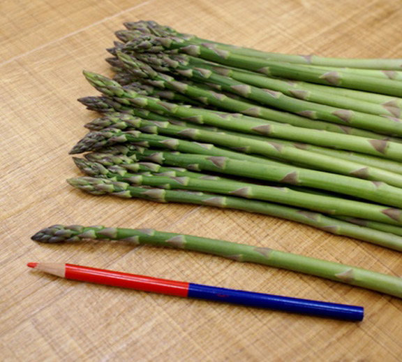 Sサイズ】アスパラガス(送料込) | とみたメロンハウス