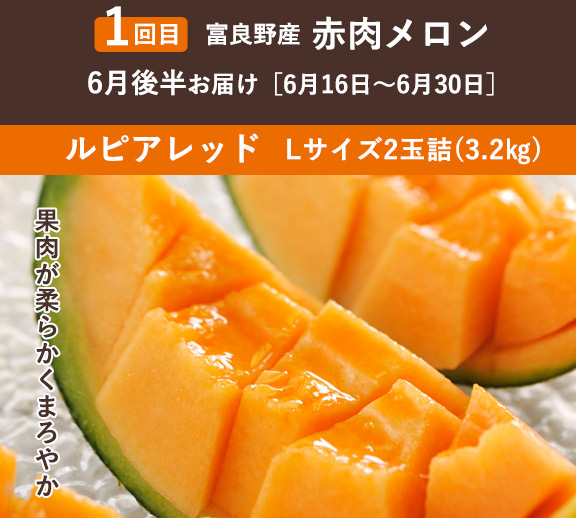 2玉 全5回】メロンコレクションコース | とみたメロンハウス