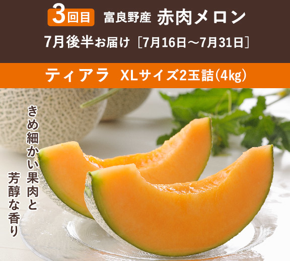 2玉 全5回】メロンコレクションコース | とみたメロンハウス