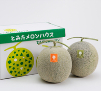 北海道ハウスメロン　セット大箱2 2玉詰め | とみたメロンハウス