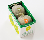 赤肉&青肉メロン2玉詰3.2kg | とみたメロンハウス