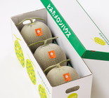 専用ページ！赤肉メロン3ケース 505842104ab2730ada0078c8b514f9