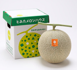 赤肉メロン1玉詰特大2.7kg | とみたメロンハウス