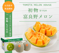 赤肉メロン | とみたメロンハウス
