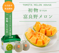北海道富良野メロン赤肉1.4kg超✖︎2玉✖︎4箱有機肥料超減農薬限定(55) 北海道富良野産 赤肉メロン 2玉入り 4kg | 北海道富良野市