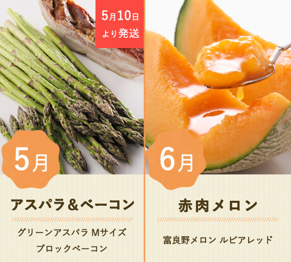 ベジタブルコレクションコース | とみたメロンハウス