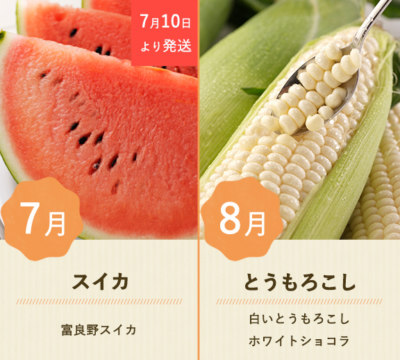 ベジタブルコレクションコース | とみたメロンハウス